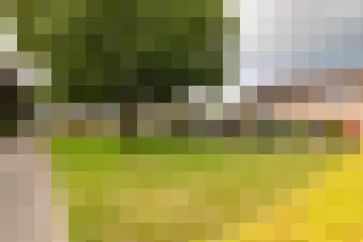 Hazenpad 16 Alteveer thumbnail 54
