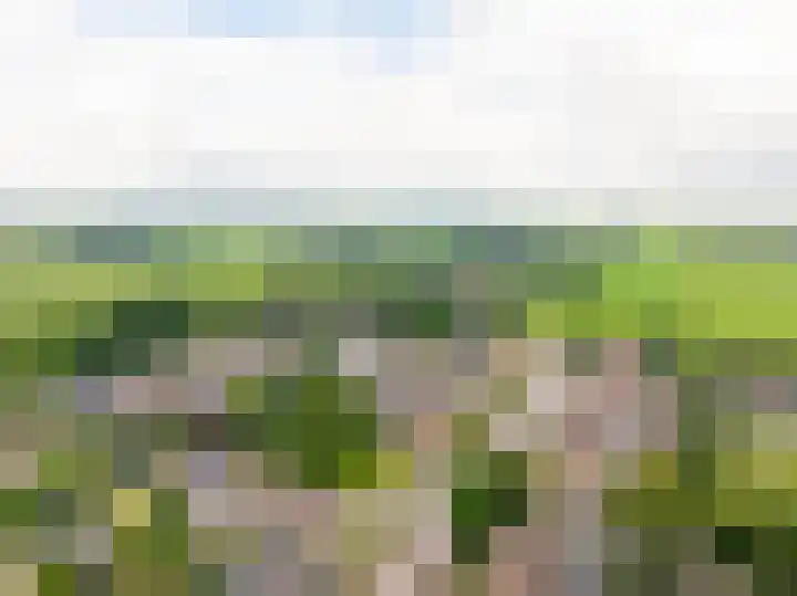 Hazenpad 16 Alteveer thumbnail 55