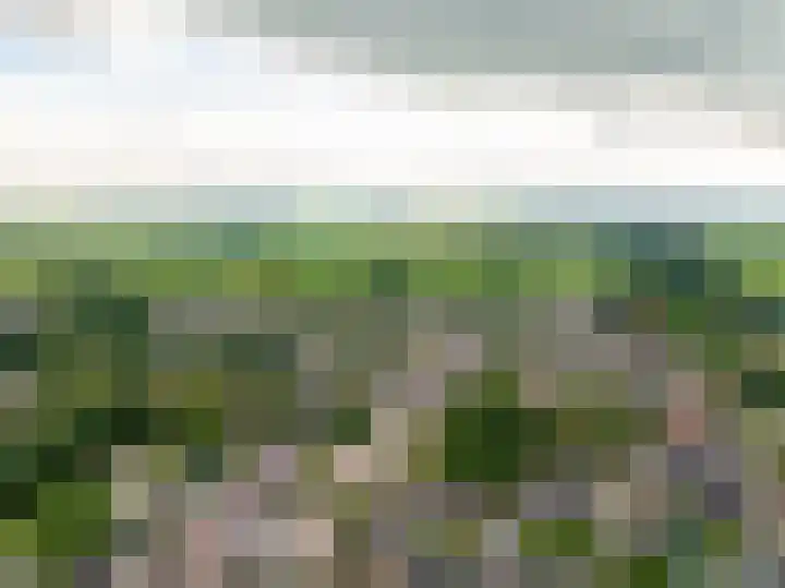 Hazenpad 16 Alteveer thumbnail 56