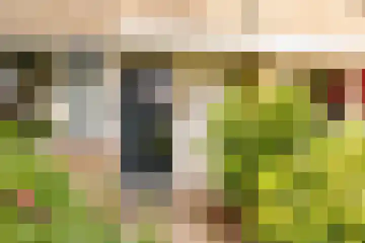Hazenpad 16 Alteveer thumbnail 7