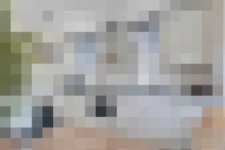 Hazenpad 19 Wilhelminaoord thumbnail 10