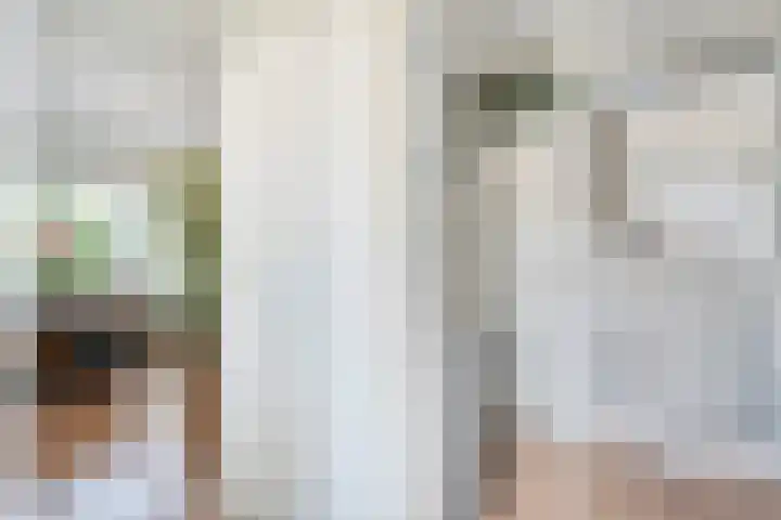 Hazenpad 19 Wilhelminaoord thumbnail 12