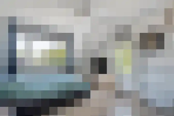 Hazenpad 19 Wilhelminaoord thumbnail 14