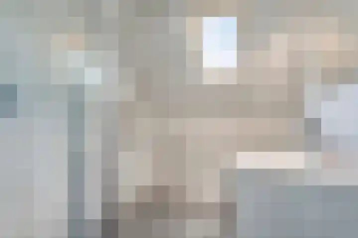 Hazenpad 19 Wilhelminaoord thumbnail 16