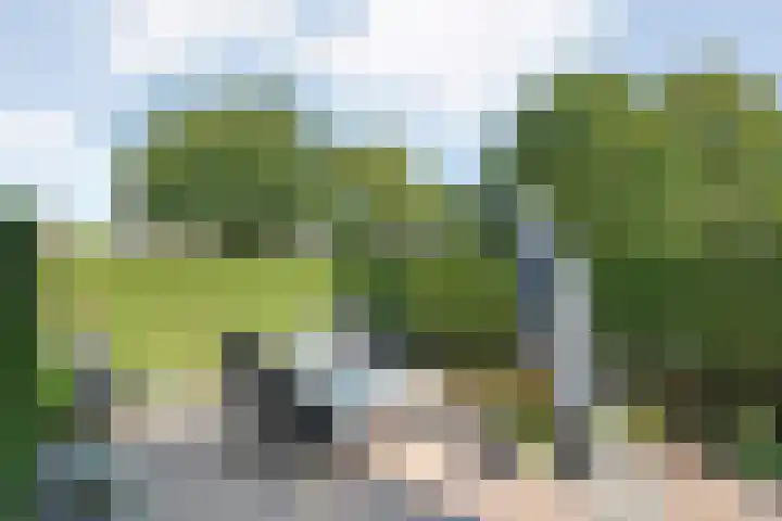 Hazenpad 19 Wilhelminaoord thumbnail 18