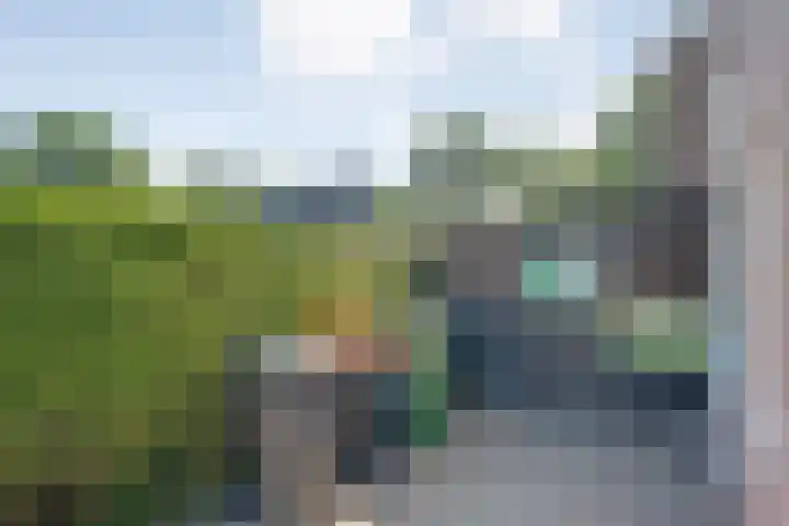 Hazenpad 19 Wilhelminaoord thumbnail 19
