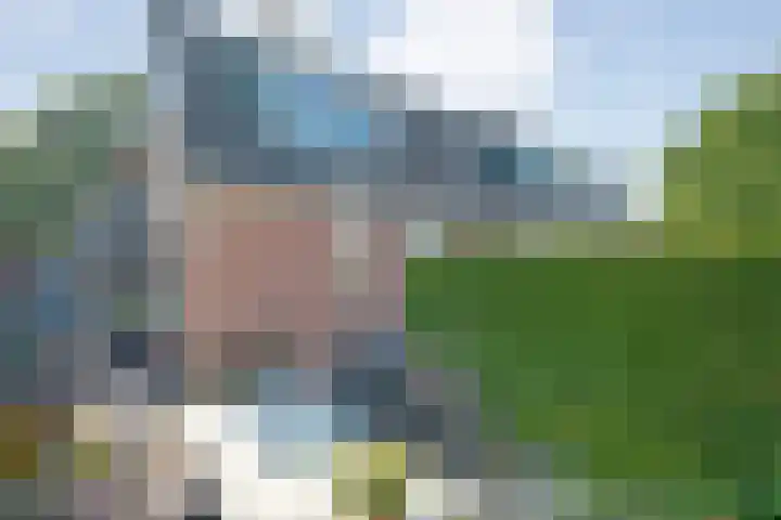 Hazenpad 19 Wilhelminaoord thumbnail 21