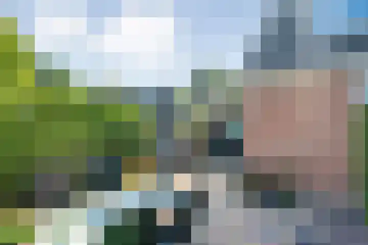 Hazenpad 19 Wilhelminaoord thumbnail 22