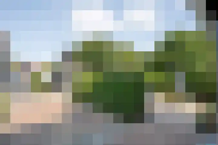 Hazenpad 19 Wilhelminaoord thumbnail 23
