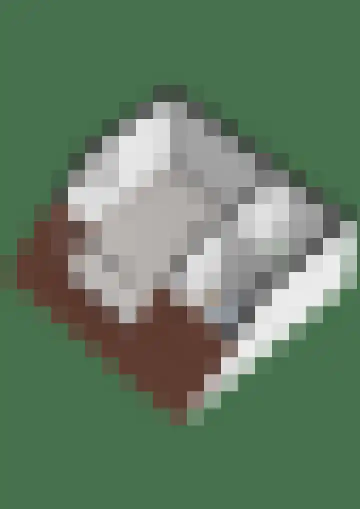 Hazenpad 19 Wilhelminaoord thumbnail 28