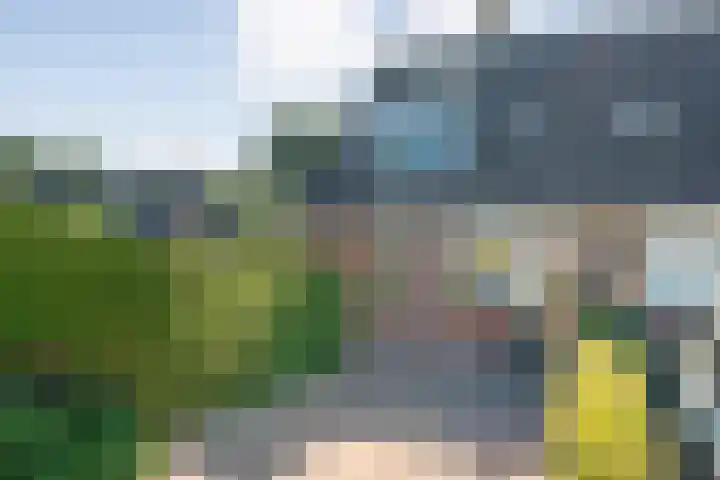 Hazenpad 19 Wilhelminaoord thumbnail 29