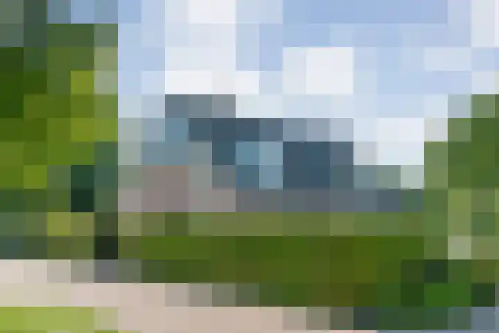 Hazenpad 19 Wilhelminaoord thumbnail 4