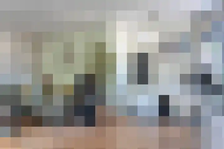 Hazenpad 19 Wilhelminaoord thumbnail 6