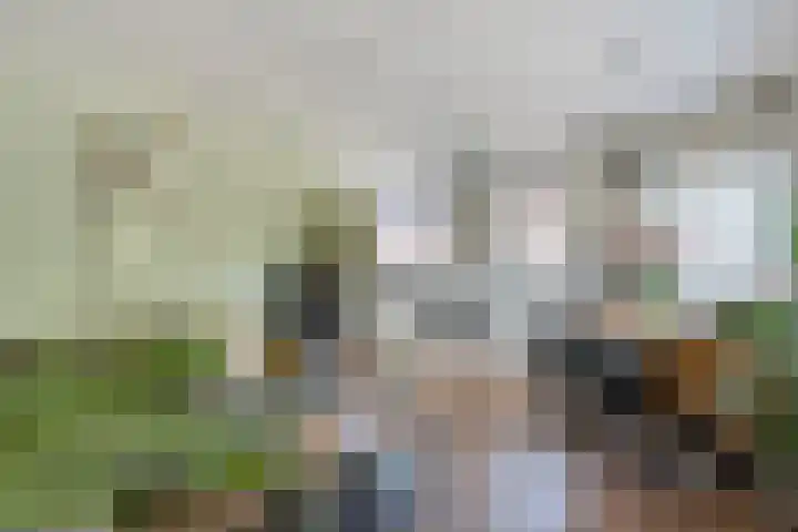 Hazenpad 19 Wilhelminaoord thumbnail 8