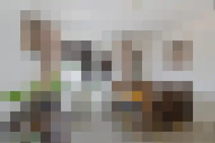 Hazenpad 23 Alteveer thumbnail 13