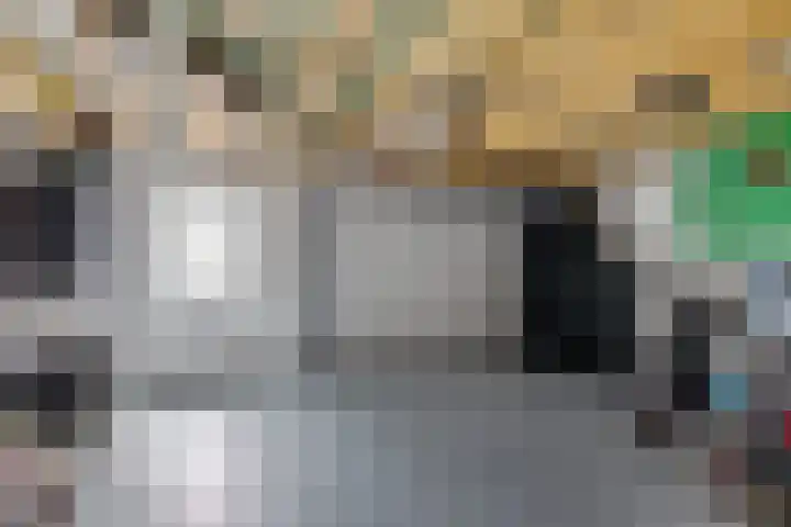 Hazenpad 23 Alteveer thumbnail 18