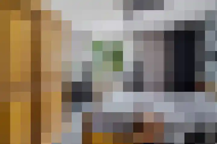 Hazenpad 23 Alteveer thumbnail 21