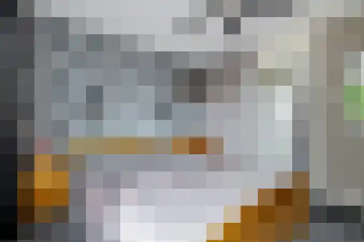 Hazenpad 23 Alteveer thumbnail 22