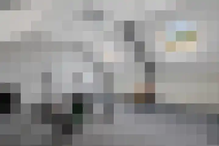 Hazenpad 23 Alteveer thumbnail 30