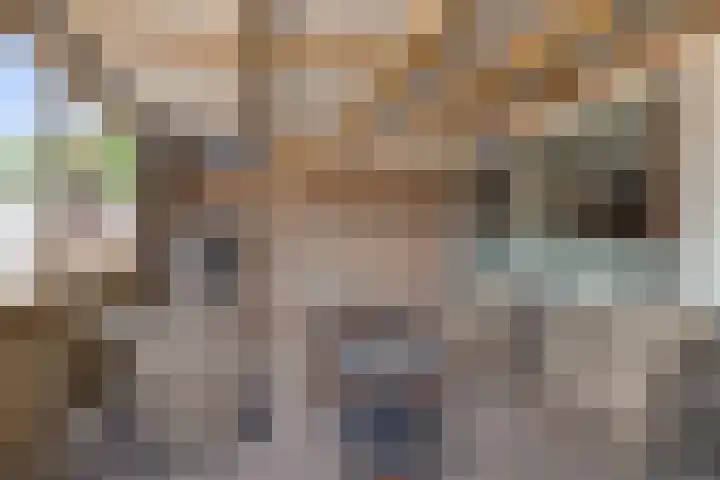Hazenpad 23 Alteveer thumbnail 31