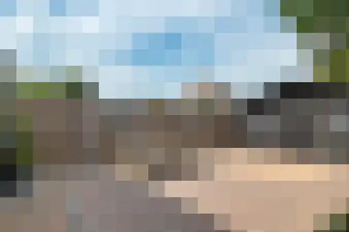 Hazenpad 23 Alteveer thumbnail 32