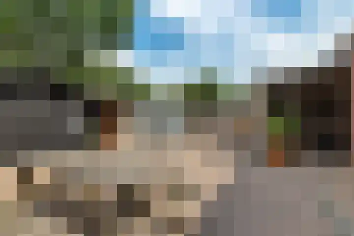Hazenpad 23 Alteveer thumbnail 33