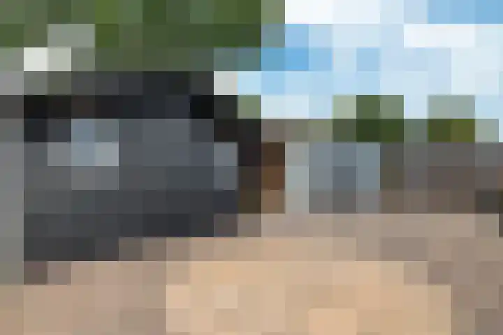Hazenpad 23 Alteveer thumbnail 34