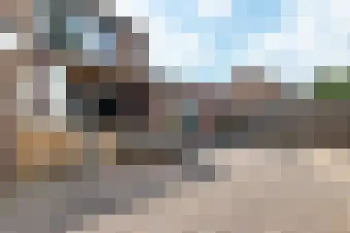 Hazenpad 23 Alteveer thumbnail 36