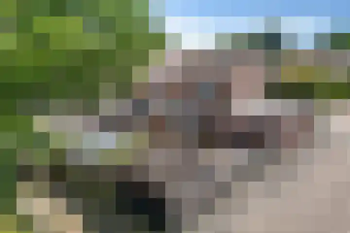 Hazenpad 23 Alteveer thumbnail 41