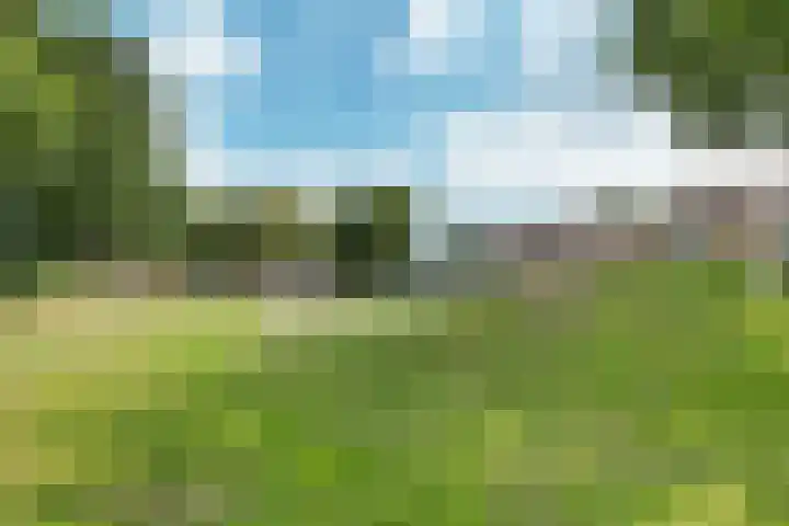 Hazenpad 23 Alteveer thumbnail 42