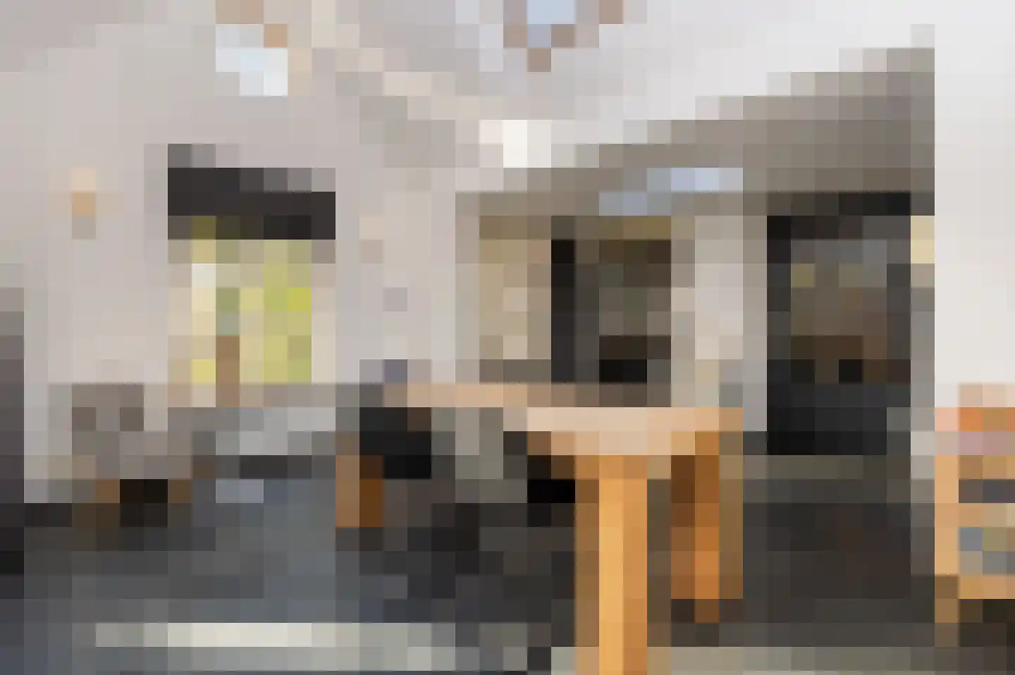 Hazenpad 26 Leur thumbnail 10