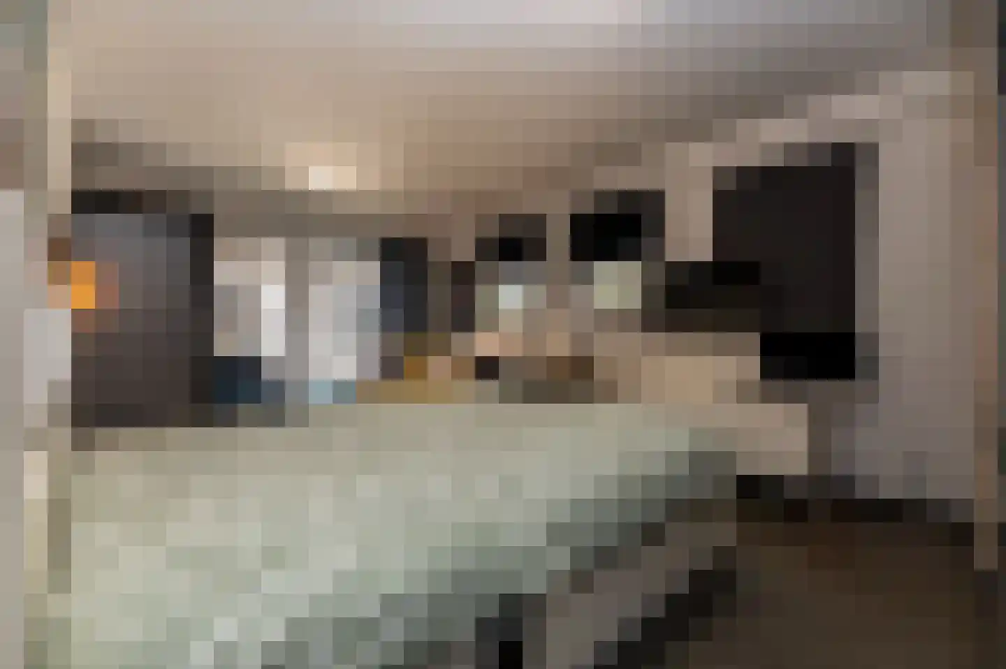 Hazenpad 26 Leur thumbnail 17