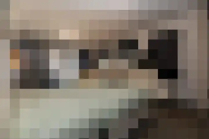 Hazenpad 26 Leur thumbnail 17