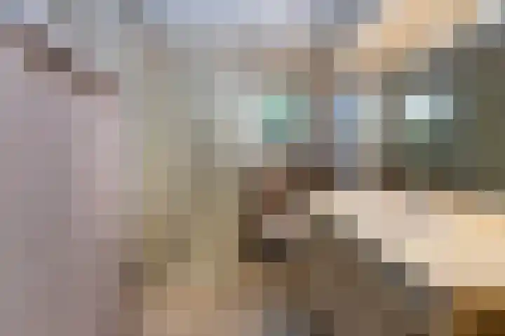 Hazenpad 26 Leur thumbnail 19