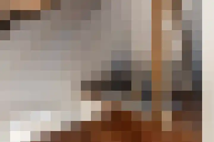 Hazenpad 26 Leur thumbnail 27