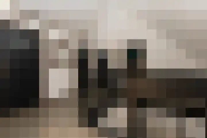 Hazenpad 26 Leur thumbnail 31