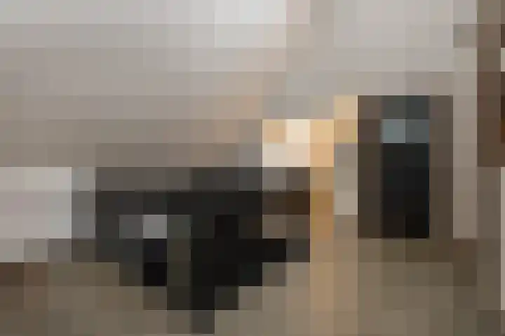 Hazenpad 26 Leur thumbnail 32