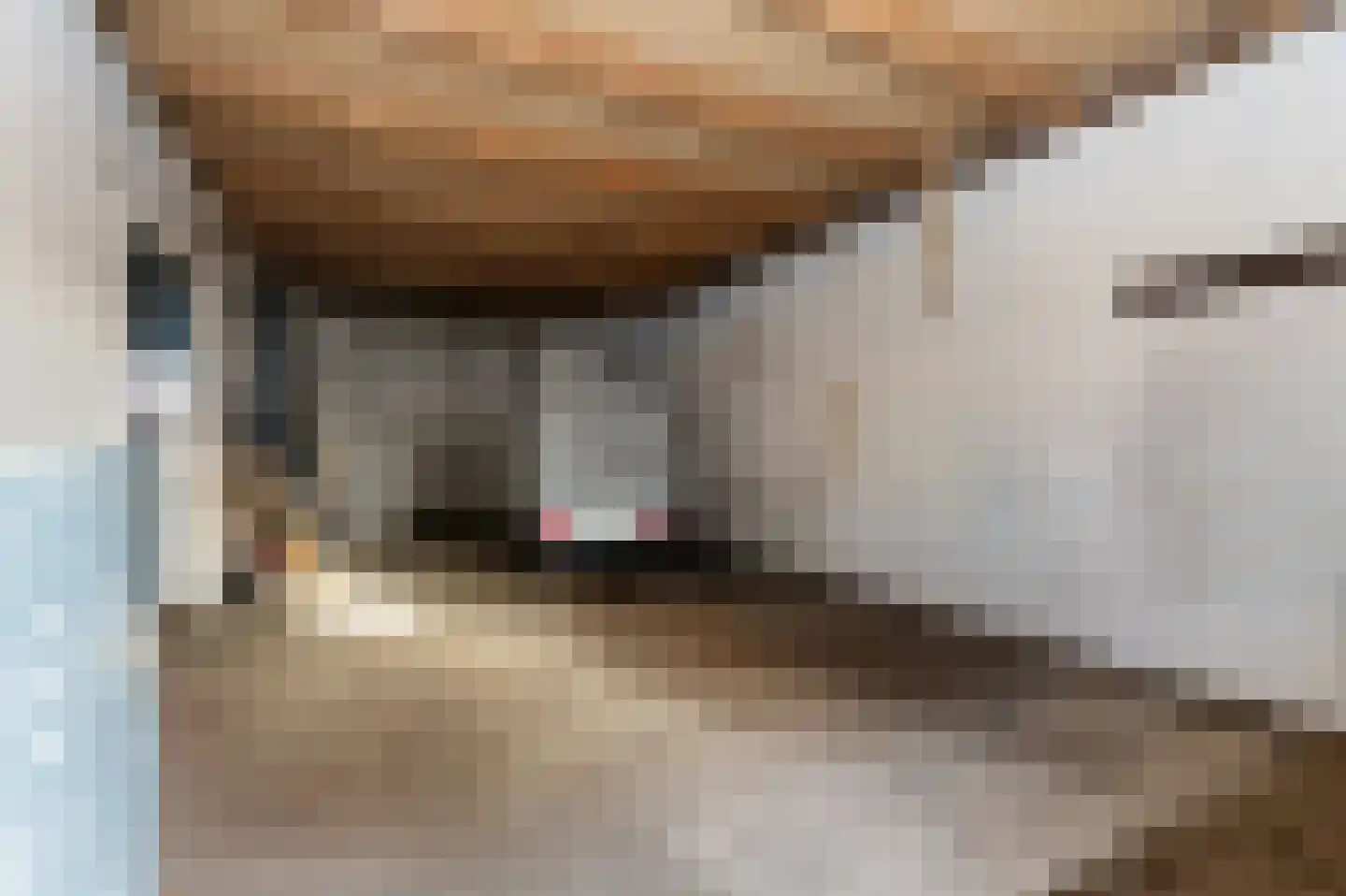 Hazenpad 26 Leur thumbnail 35