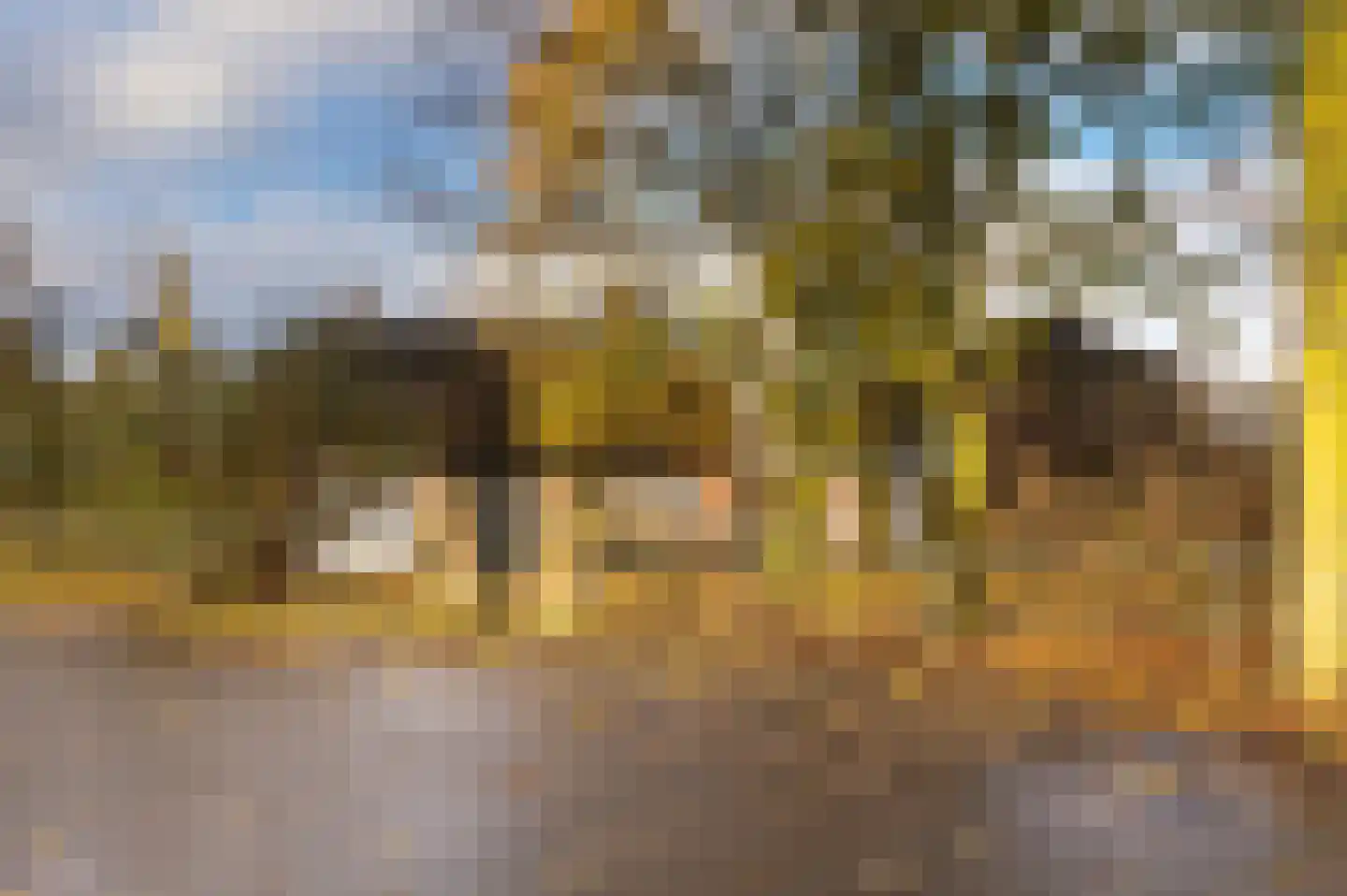 Hazenpad 26 Leur thumbnail 37