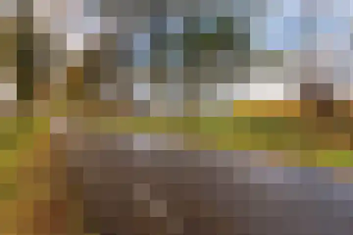 Hazenpad 26 Leur thumbnail 39