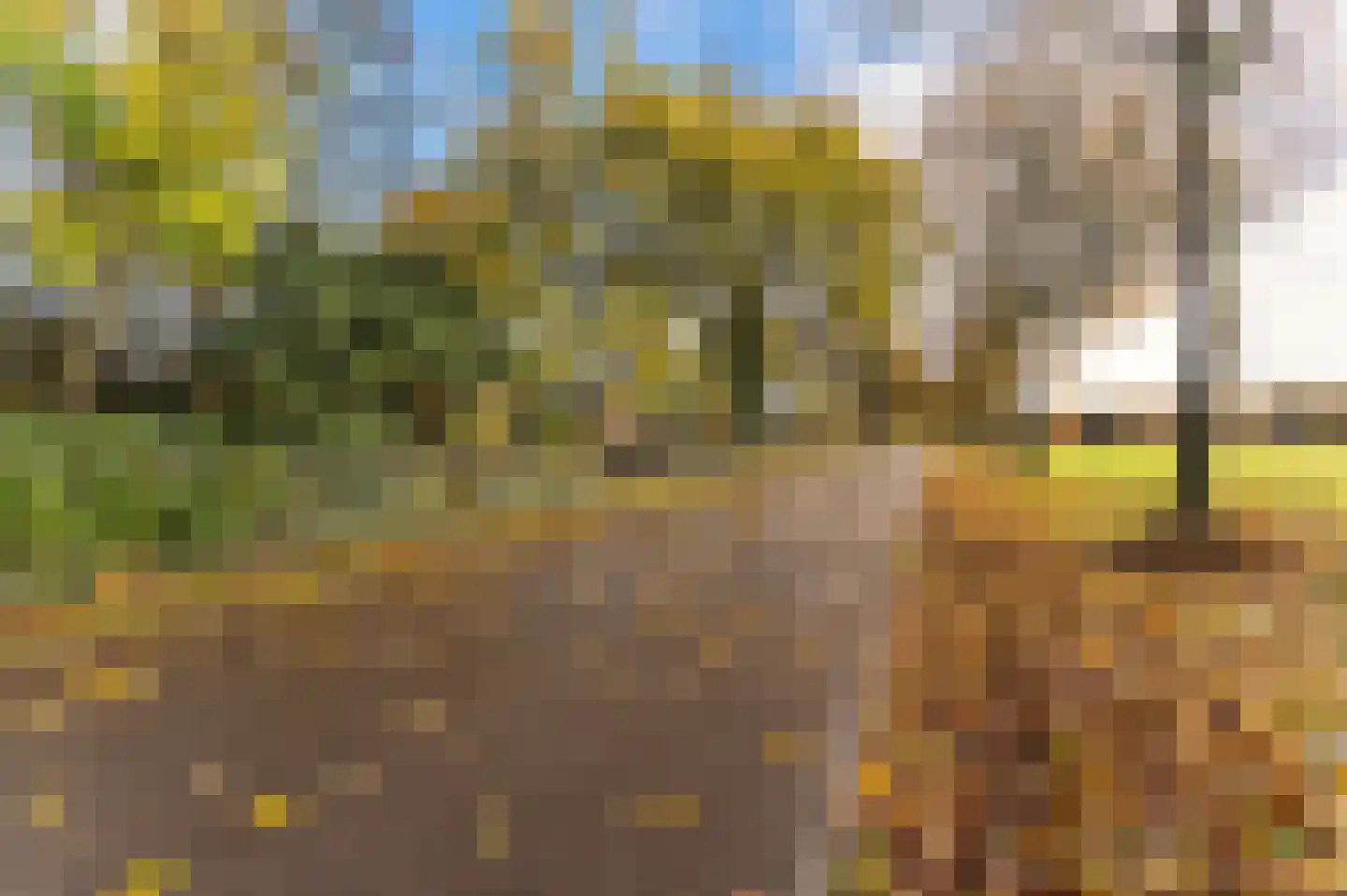 Hazenpad 26 Leur thumbnail 41