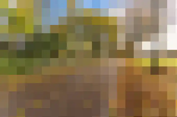 Hazenpad 26 Leur thumbnail 41
