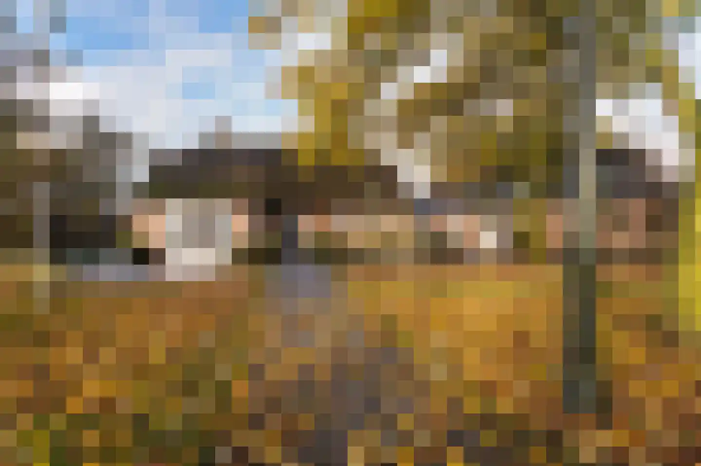 Hazenpad 26 Leur thumbnail 42