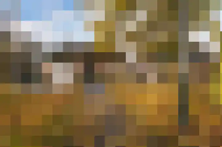 Hazenpad 26 Leur thumbnail 42