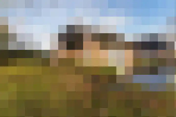Hazenpad 26 Leur thumbnail 43