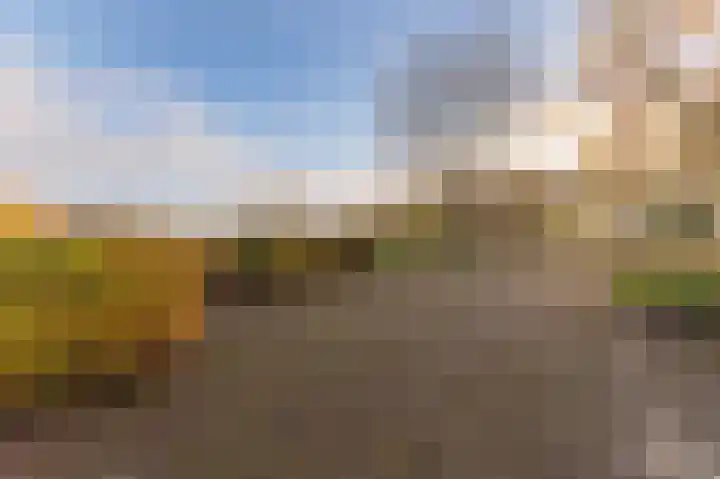 Hazenpad 26 Leur thumbnail 46