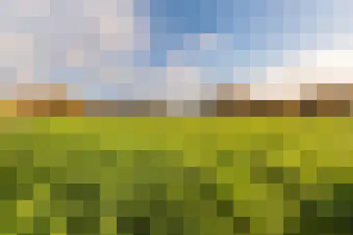 Hazenpad 26 Leur thumbnail 47
