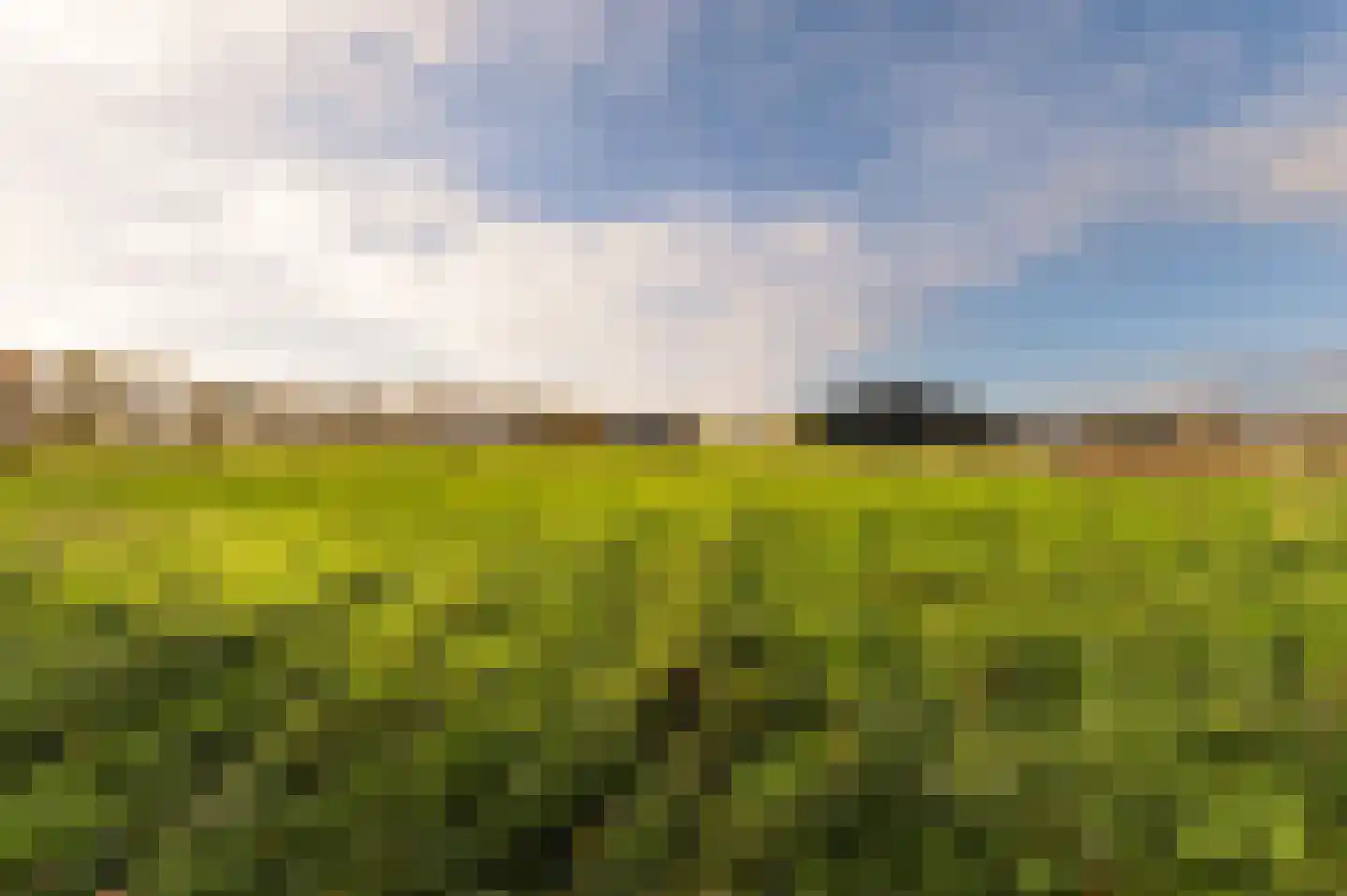 Hazenpad 26 Leur thumbnail 48
