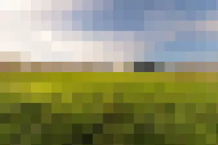 Hazenpad 26 Leur thumbnail 48