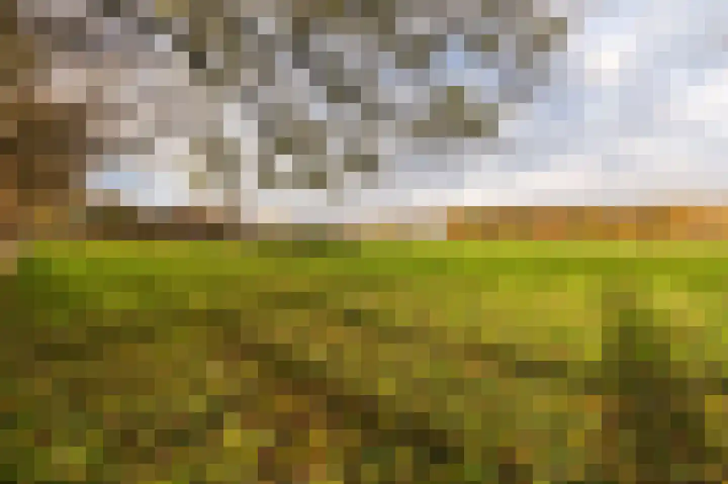 Hazenpad 26 Leur thumbnail 49